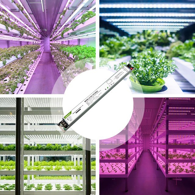 Energy-Saving Dim To Off No Afterglow Slim LED Driver