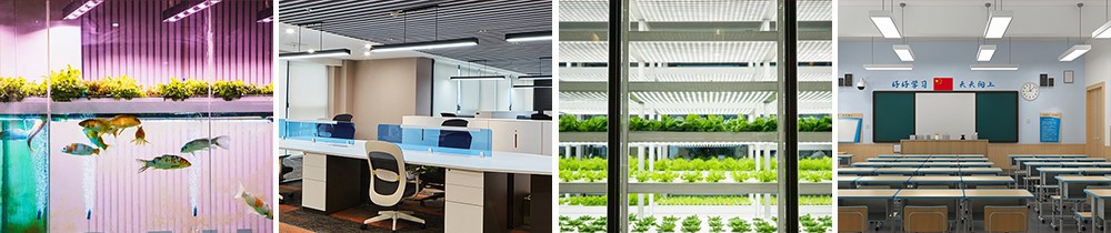 product-1000-210 product-1000-210