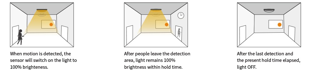 product-1000-238 product-1000-238